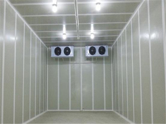 氣調(diào)保鮮庫建造方案及要點(diǎn) 